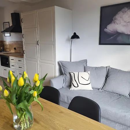 Great Apartment *